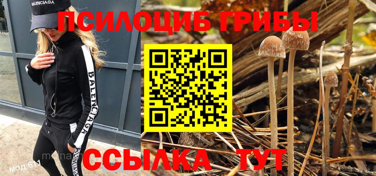 Галлюциногенные грибы MAGIC MUSHROOMS Звенигород